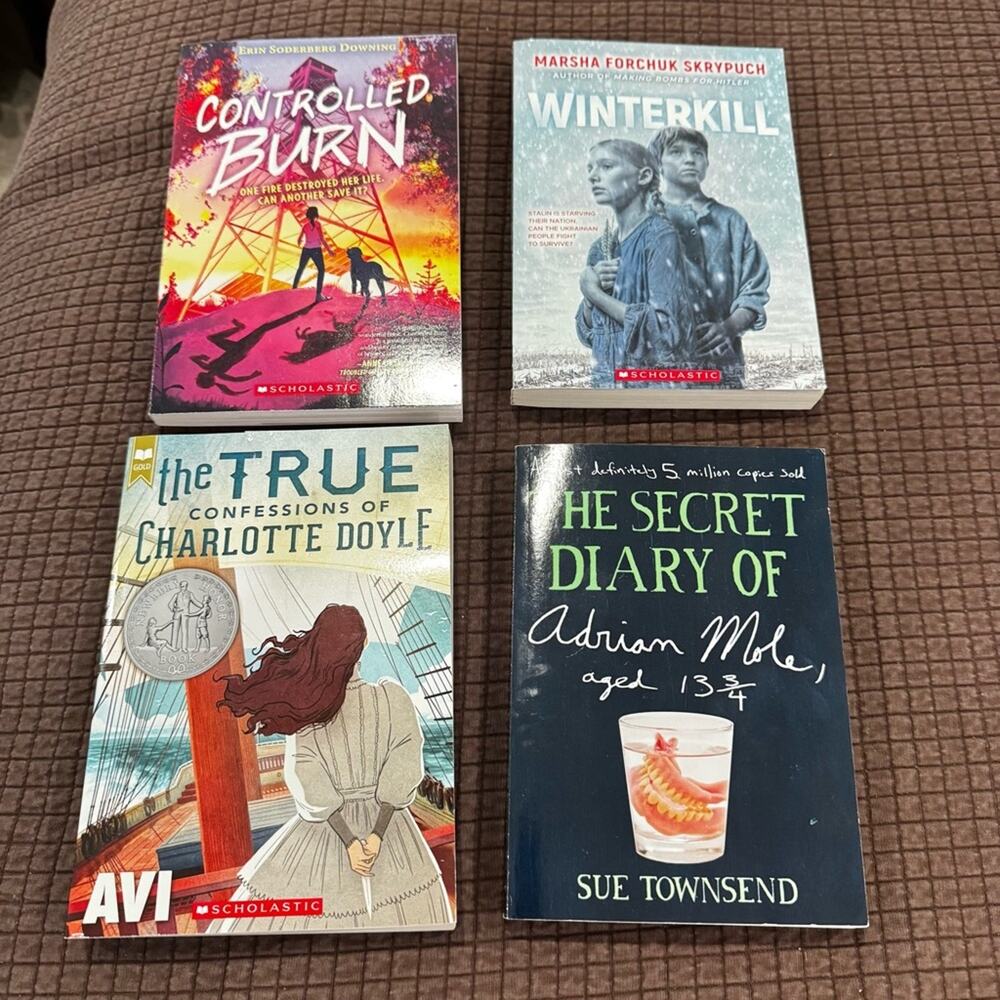 Set of 4 Tween Fiction Books, EUC